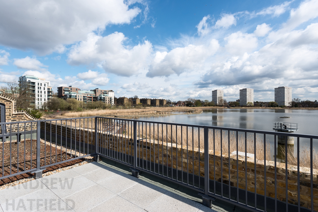 View east from the roof of the Coal House Café at Woodberry Wetlands